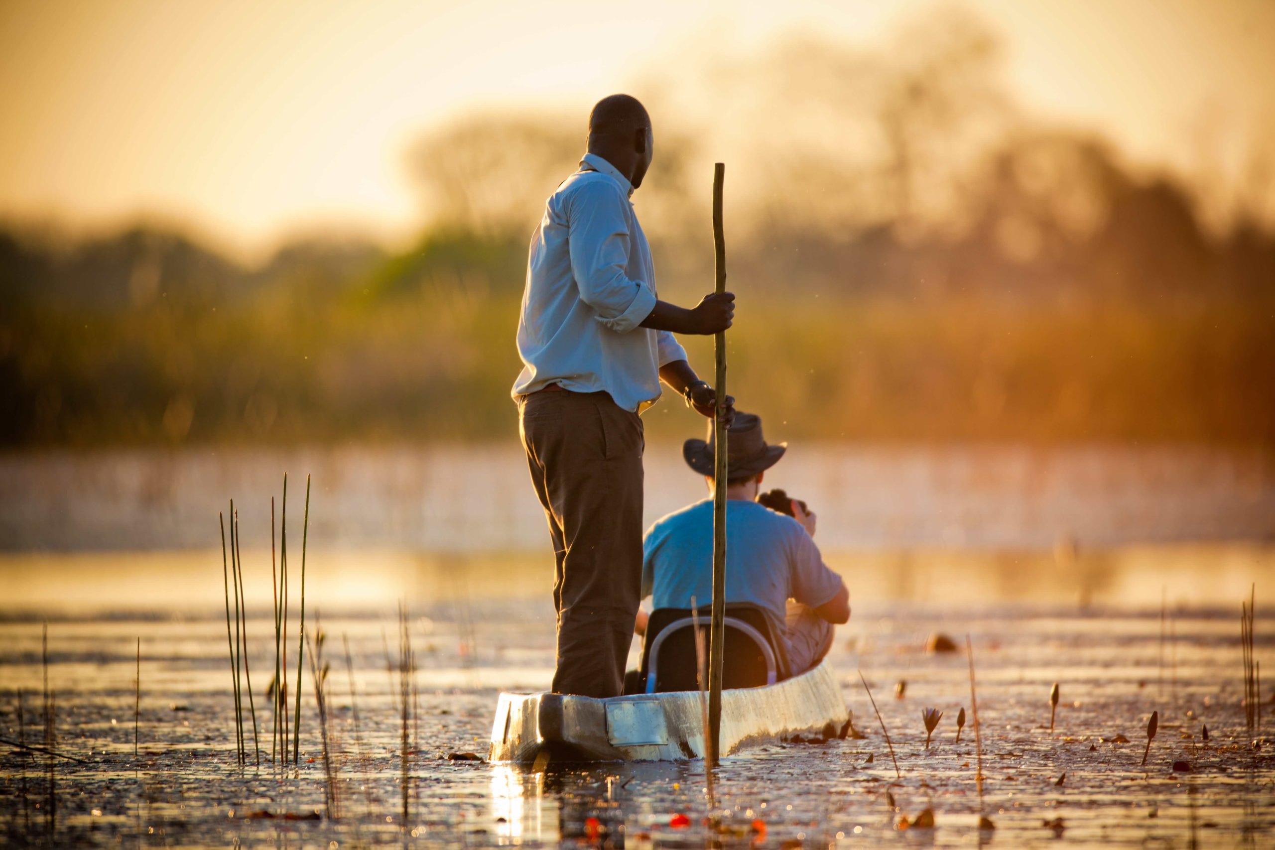 Gliding through the reeds on a traditional mokoro in the Okavango Delta, Botswana - © Adobe Stock