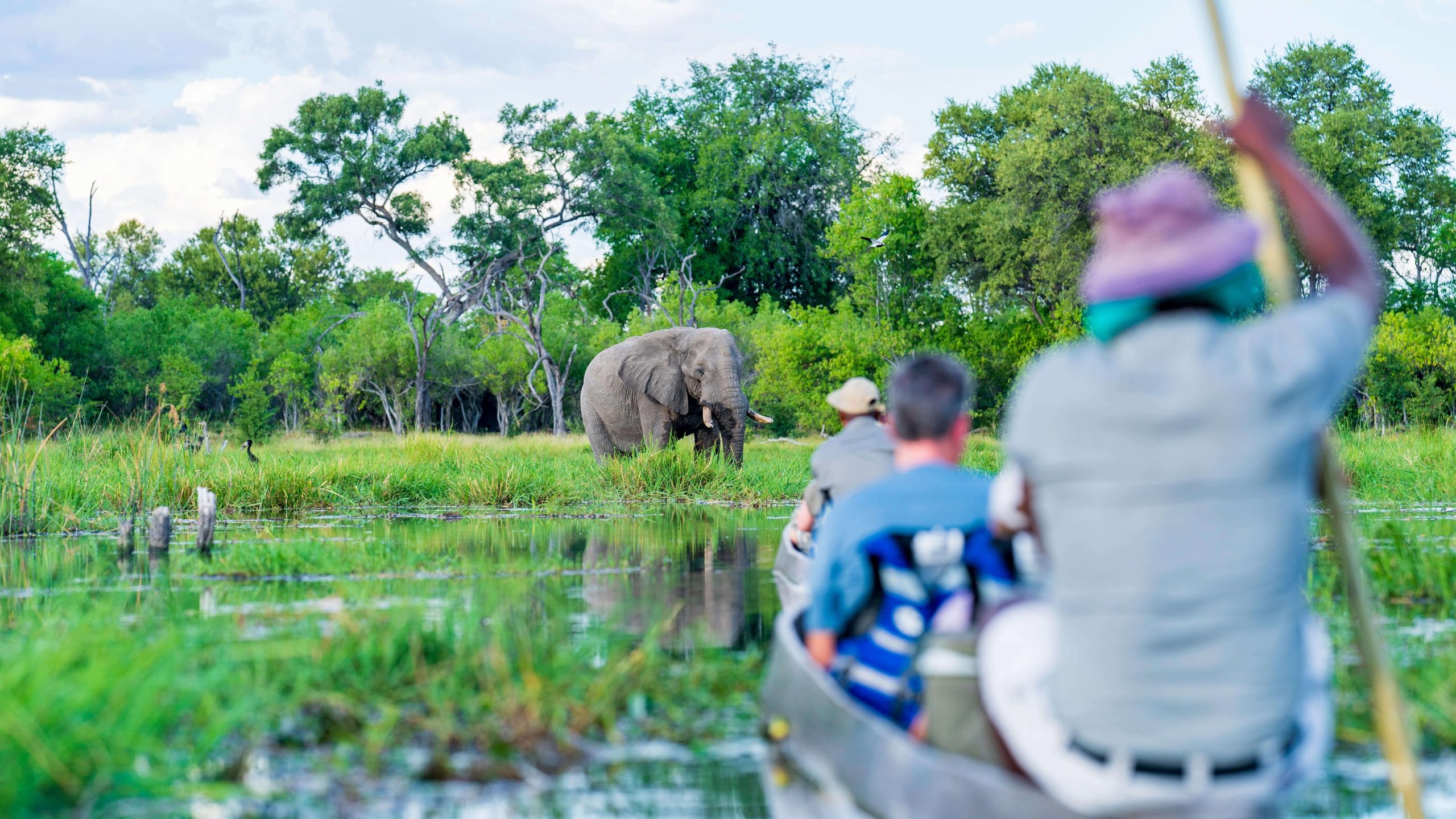 Scenic mokoro safari on Khwai River, Okavango Delta, Botswana