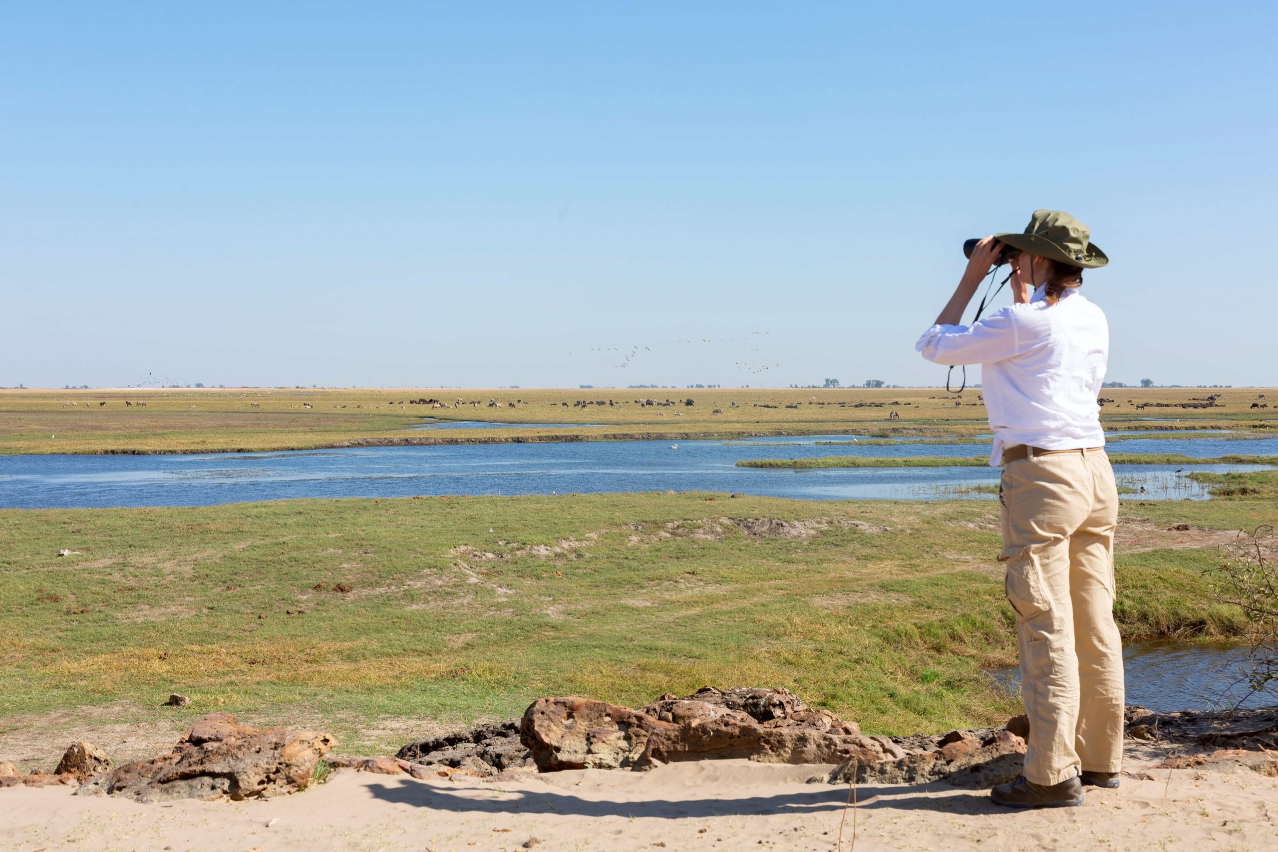 Tourist watching wildlife by binocular on Chobe River at sunrise, Botswana