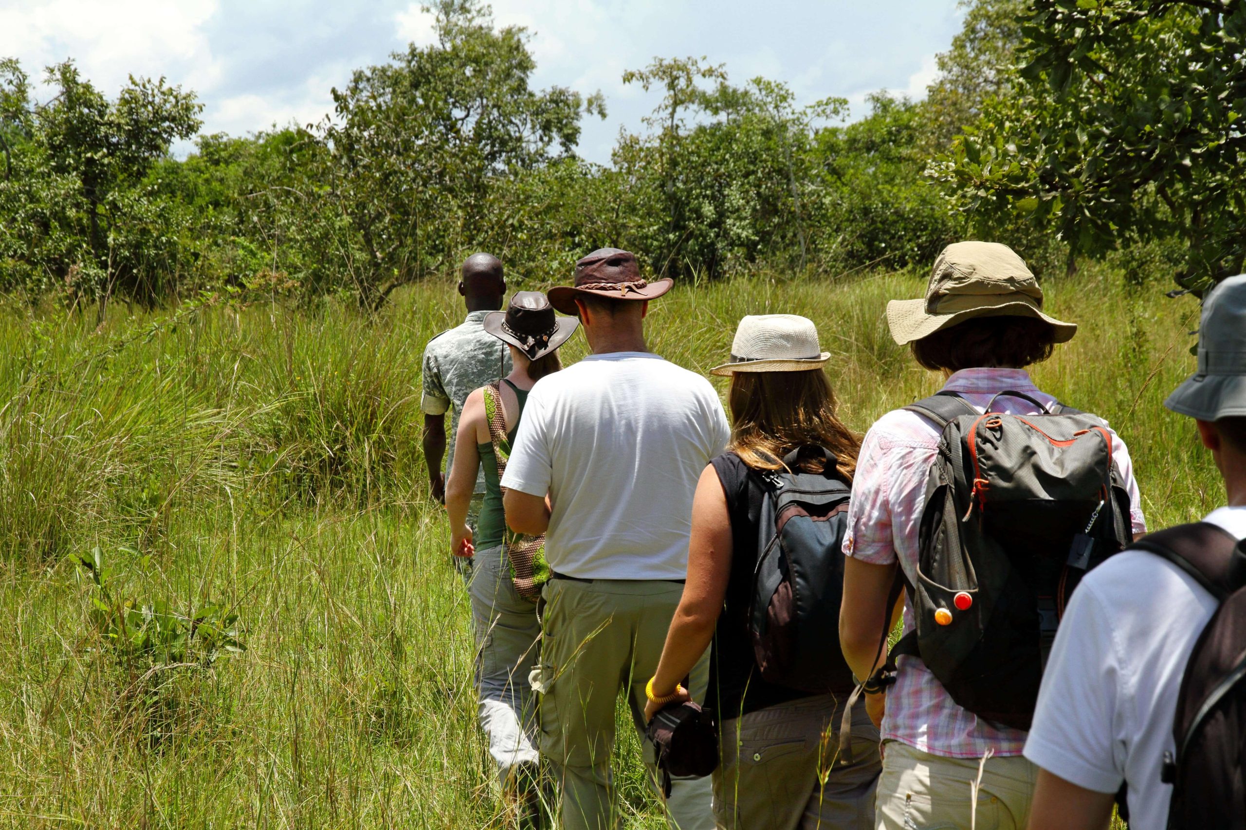 Walking safari Walking safari - © Adobe Stock