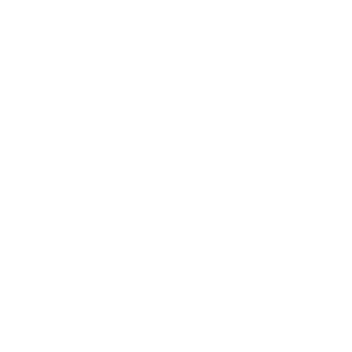 traveller