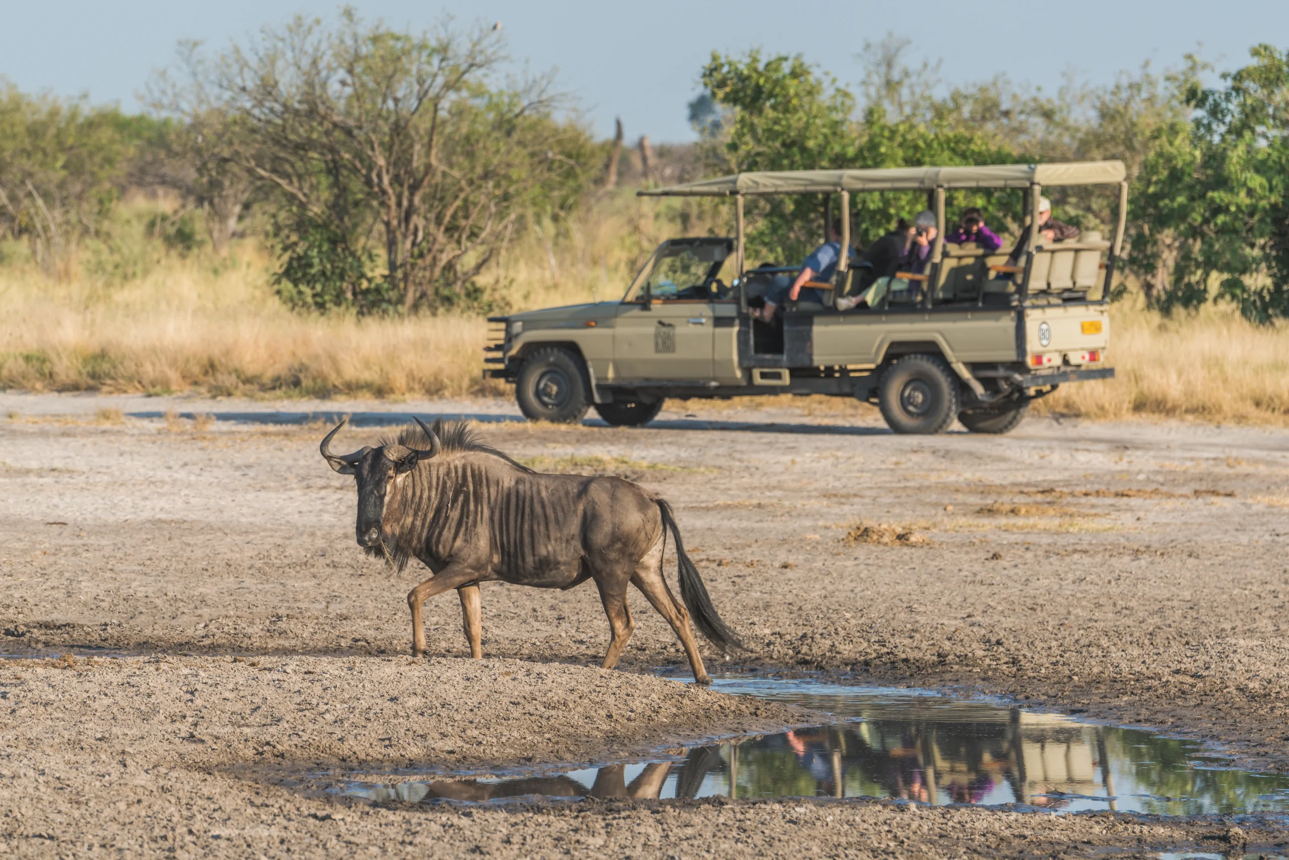 4×4 Safari – Chobe National Park