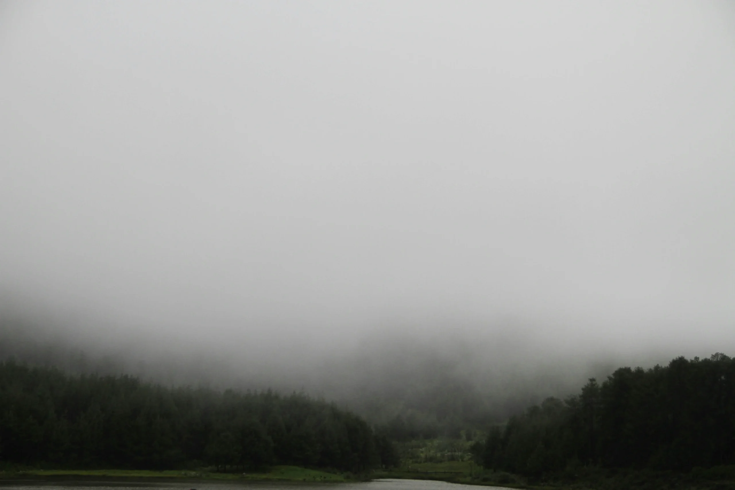 Forest on cloudy sky, Nyanga, Zimbabwe